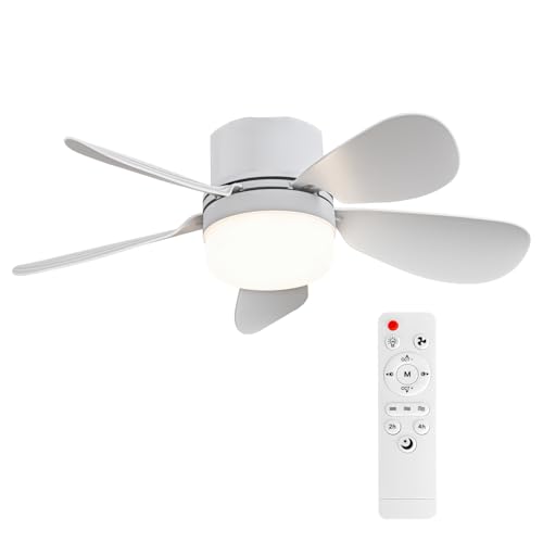 ASALL ASALL Socket Fan Light with Remote Control, Portable Small Ceili — Controls and everyday operation