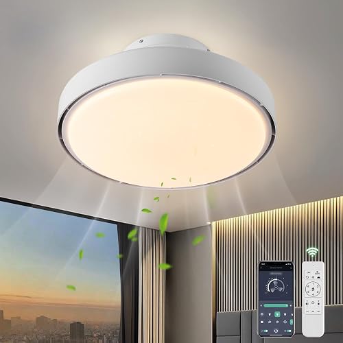 AHAWILL Low Profile Ceiling Fan with Light,18.9