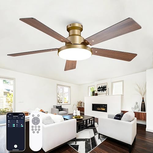 Vaczon 52 Inch Low Profile Gold Ceiling Fan with Lights, Modern Black — Side-by-side comparison of top picks in this category