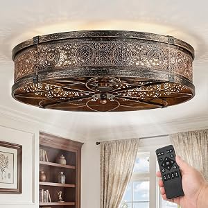 LEDIARY 20" Caged Ceiling Fans with Lights,Low Profile Flush Mount Enclosed Bladeless